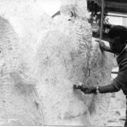 U. Guidi al lavoro a Cavallo e Cavaliere 1974